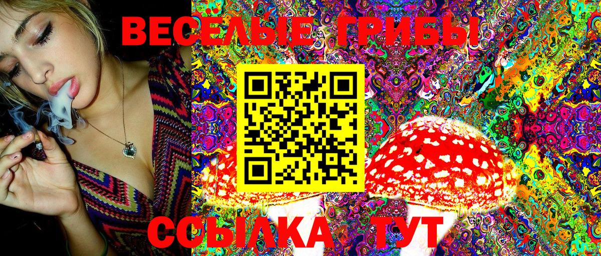 Ангарск  Псилоцибиновые грибы Psilocybine cubensis  Псилоцибиновые грибы Psilocybe  купить наркоту  Вход с VPN 